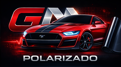 FILM POLARIZADOS