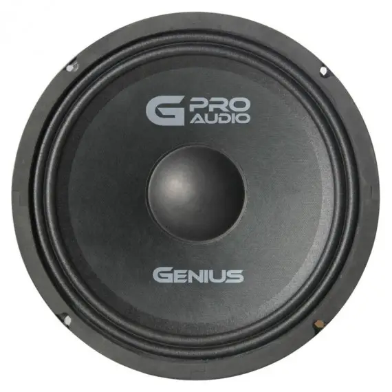 MREL65 - MEDIO RANGO 6.5" 100W RMS 200W MAX 4 OHMS