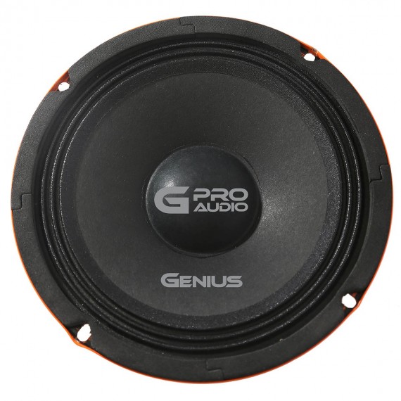 GPRO-M0310 - GENIUS MEDIO RANGO DE 10" 600W MAX 250W RMS 4 OHMS