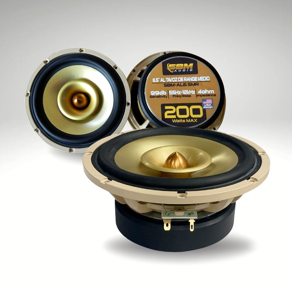 SMB-AL6.5MR - SBM PAR MEDIOS RANGOS 6.5" HIGH RANGE PERFORMANCE